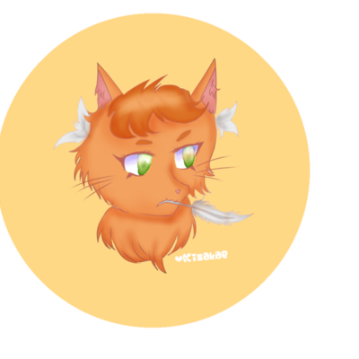 Plume Of A Cat