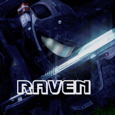 RavenG320