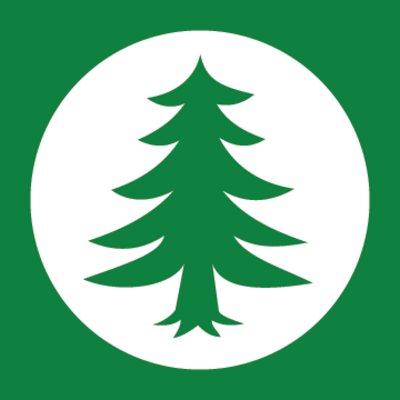 Robin_Pine