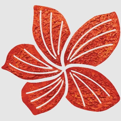duannamphuquoc