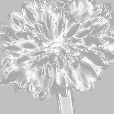 Shadow_knight1772