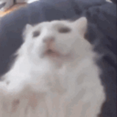 Kangy