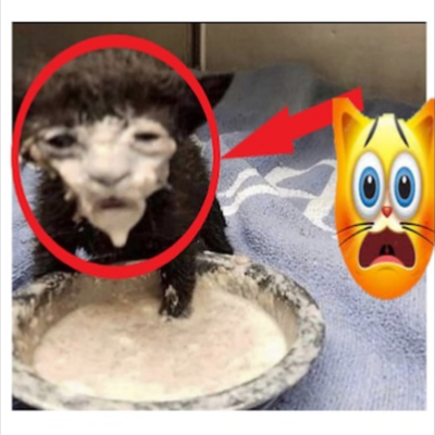 TheDartingL