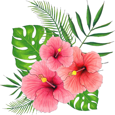 hibiskiss