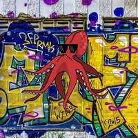 Squidmin
