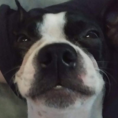 TotallyNotVA