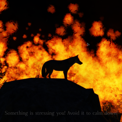 DogFire Studio’s 