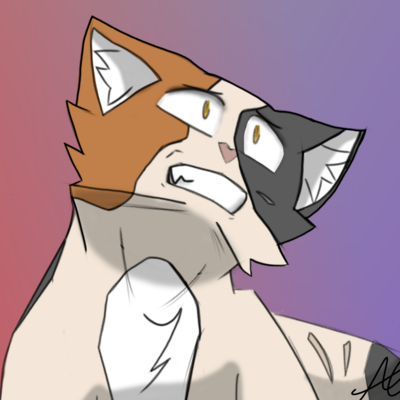TrashPanda03