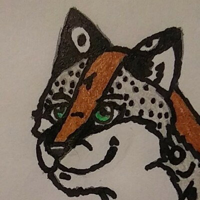 Tyco TheCatLikeCaper