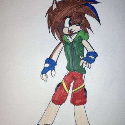 Sora the hedgehog