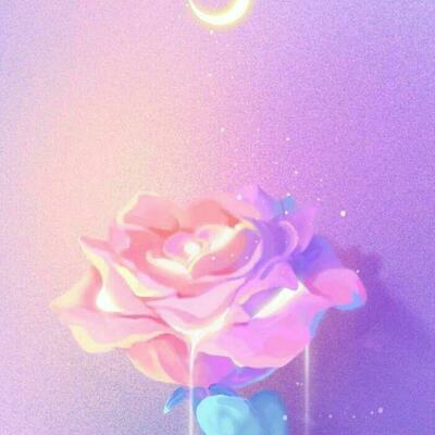lovely_16