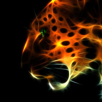 FierceFire