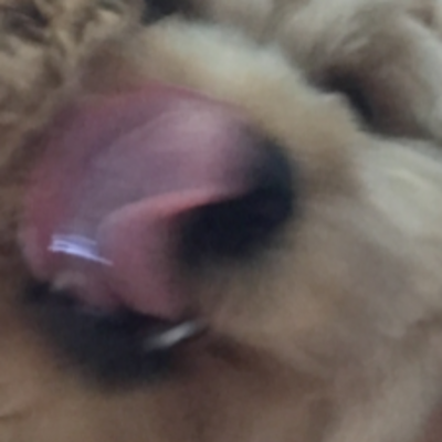 ElectricErin