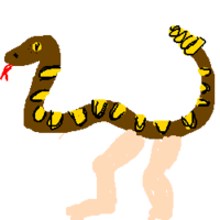 turtle man