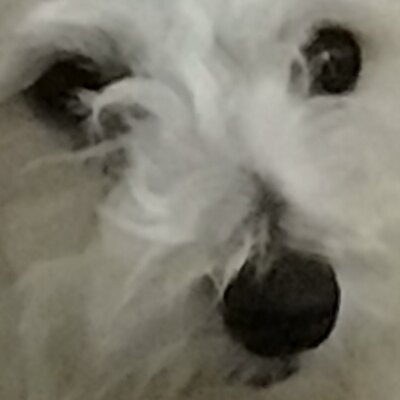 Fasty_BANANA