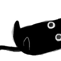 corttle