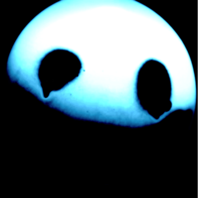 Dreadacide