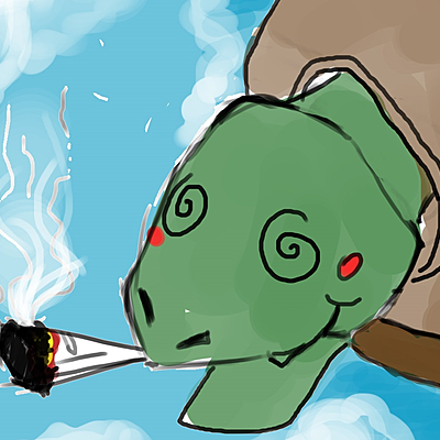 Crack4turtles