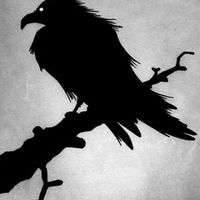 ShadowRaven