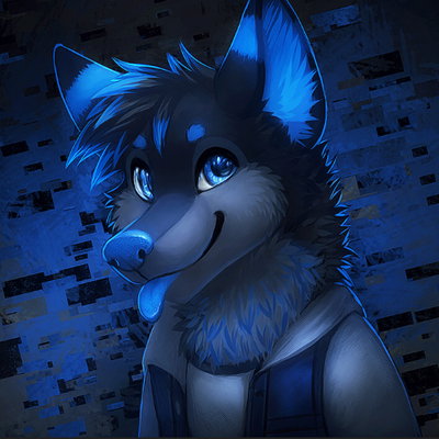 Kyra The Husky