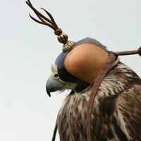 LFalconer