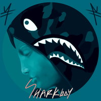 sharkboy