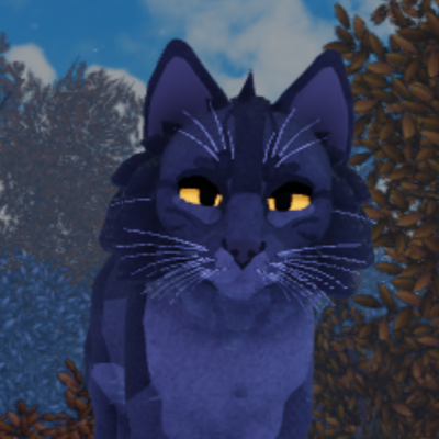saddpaw
