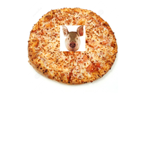 pigheadedpizza