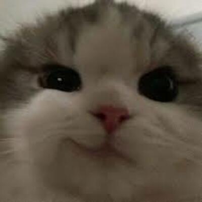 Yoebii