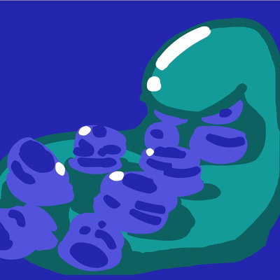 Calamari