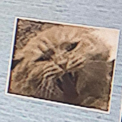 Tony