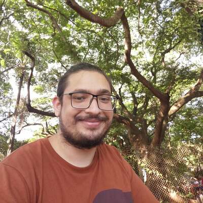 Henrique Bellani Suzigan