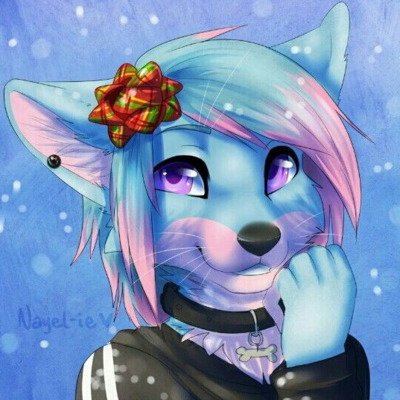 🎀 Wolfie 🎀