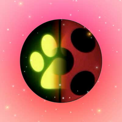 Miraculous Ladybug Fan Projects
