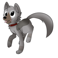 WOLFBOUND BOUND