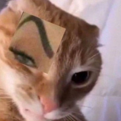 TheKarrotJak