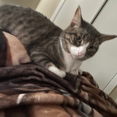 Cursed with Glorious Purpose