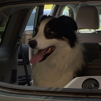 Sid