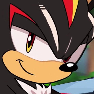 Straccoon