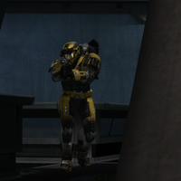 YellowJacketProject