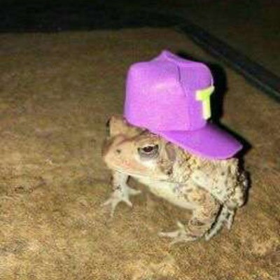 Anythingbuthuman