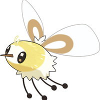 moth