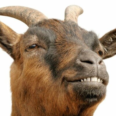 Electric Goat Productions