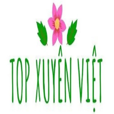 Top Xuyên Việt