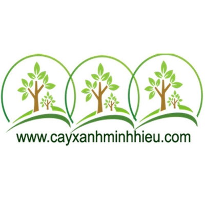 Cây xanh Minh Hiếu