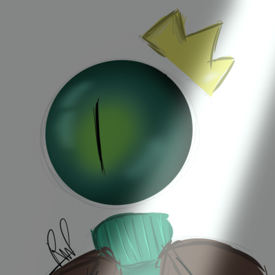 EdoBedo