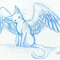 flyingcat13