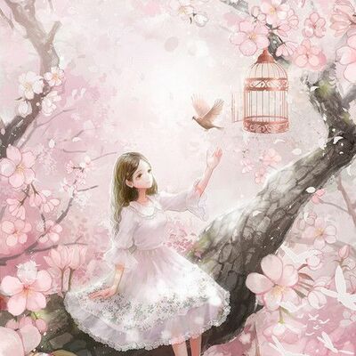 BlushBlossom