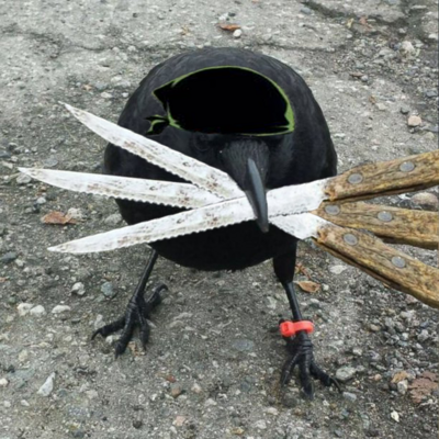crowonoa