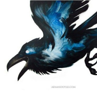 C.D Raven